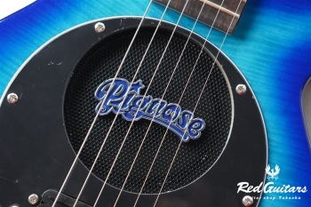 PGG-200FM SBL